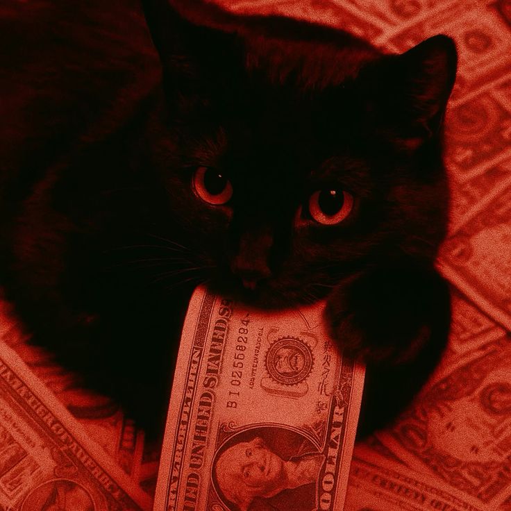 Why Money Spells Fail