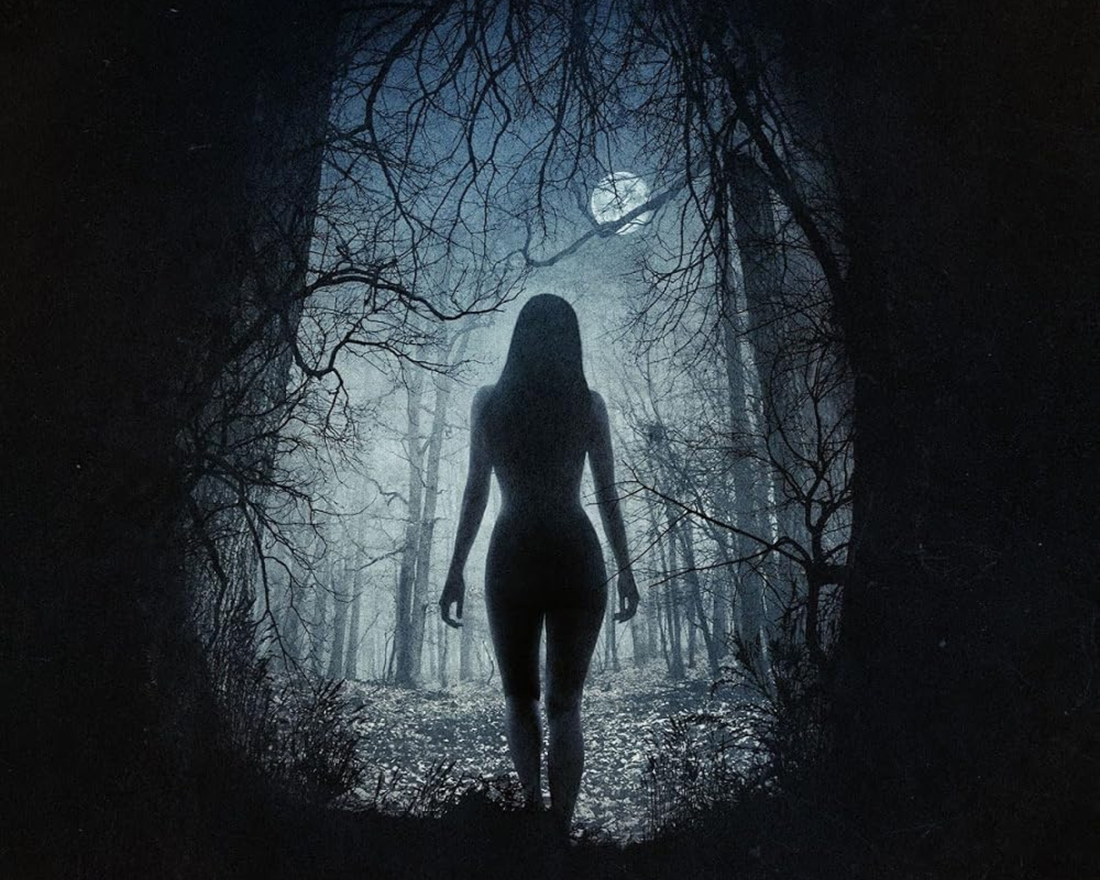 The Witch, a Pure Perfection Film