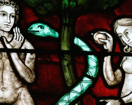 The Twin Flame Myth