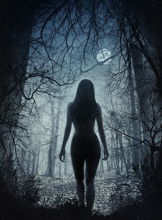 NEW MOON (All 2025)