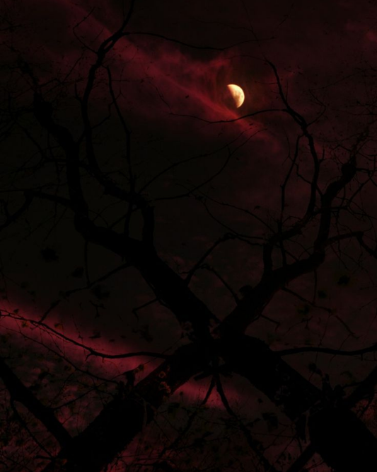 New Moon Ritual